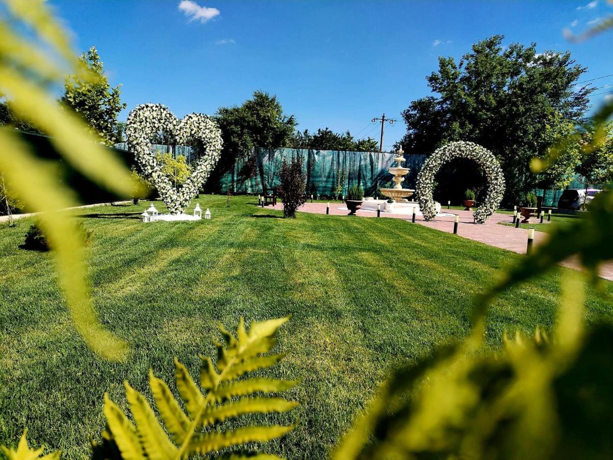 Poiana Verde Garden House Poiana Campina Екстериор снимка